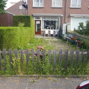 Hovenier Utrecht