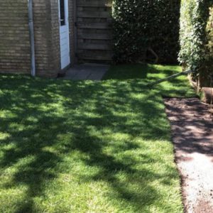 Hovenier Amstelveen onderhoud